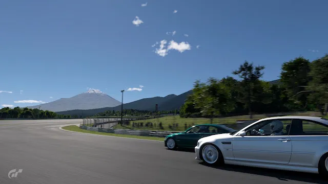 INPAの使い方 | 例:SMGⅡの診断
